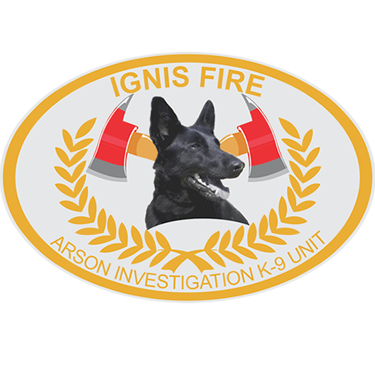 IGNIS Forensic Fire Investigations and Prevention