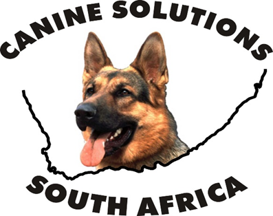 IGNIS Forensic Fire Investigations and Prevention